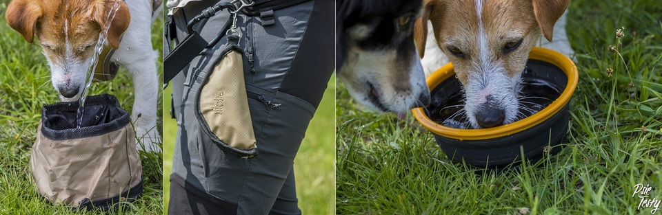 Ein Reisenapf für Ihren Hund ist auf Reisen sehr nützlich, besonders im Sommer.