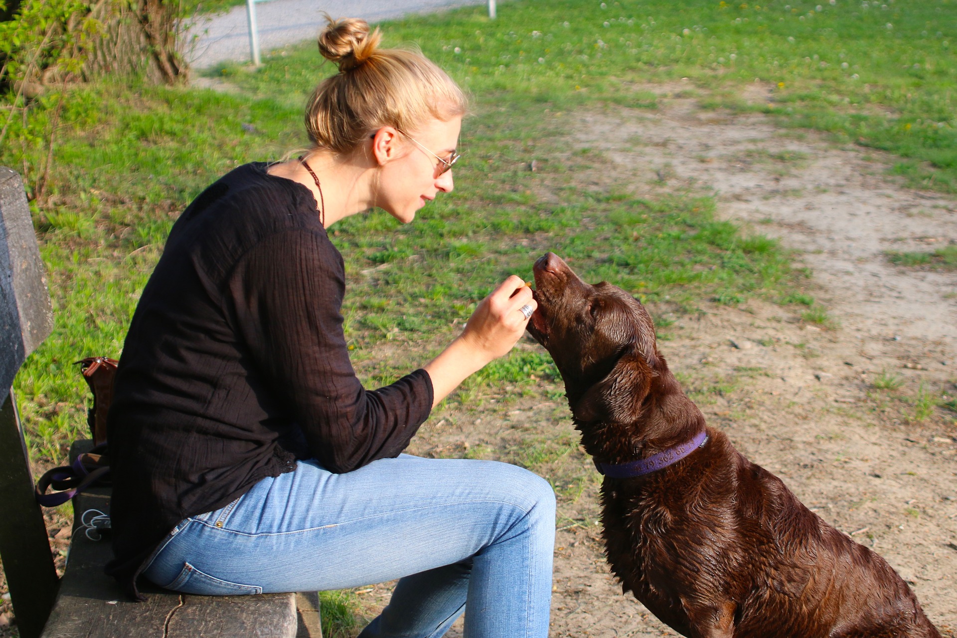 Züchter und Trainer betonen, dass bei der Aufzucht von Hunden die positive Motivation und Belohnung eines Haustieres der Schlüssel ist. Die Verwendung eines Halfters ist eine Form der Bestrafung und sollte in keiner Weise zu einer der Hauptmethoden des Trainings werden.