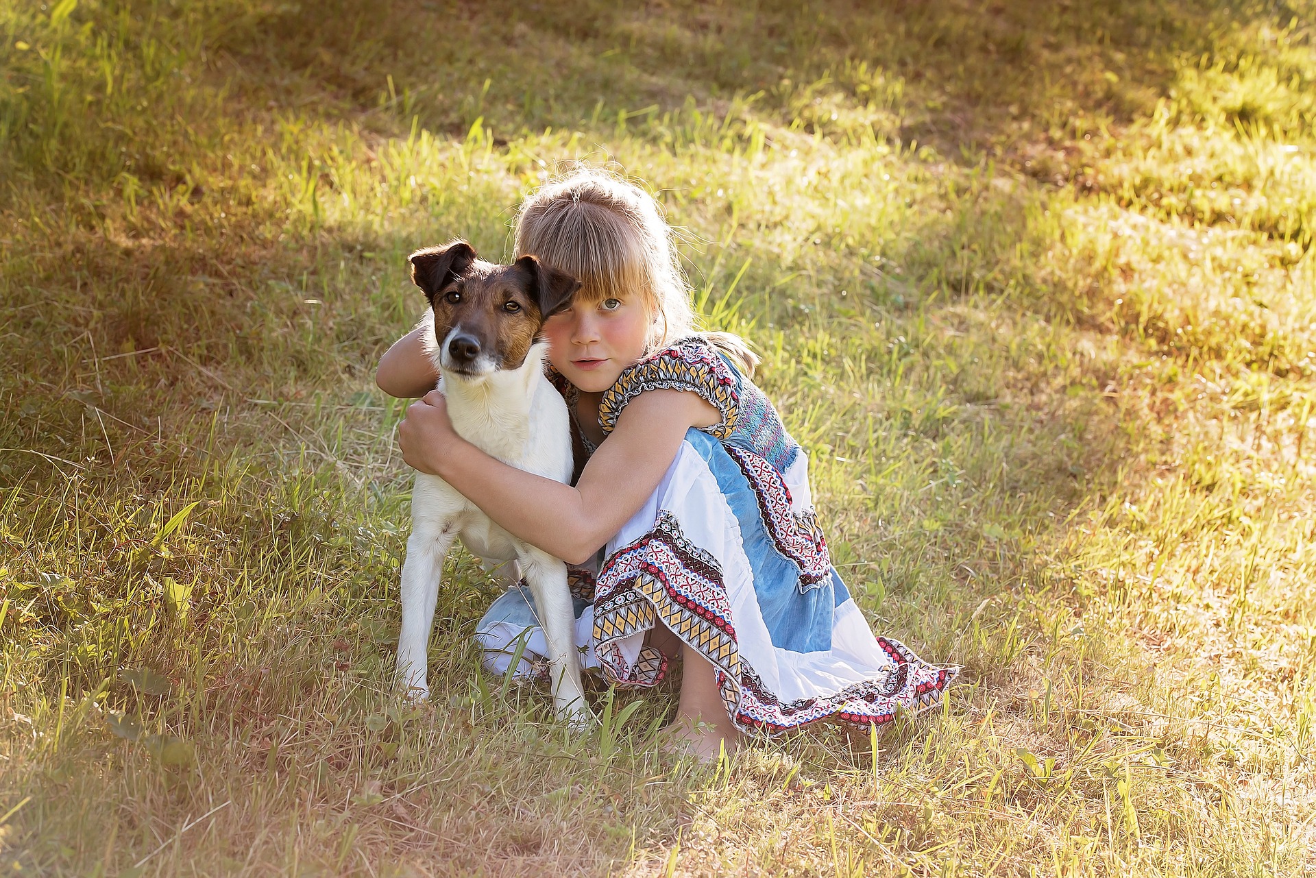 Das Mädchen umarmt ihren Hund auf der Wiese.