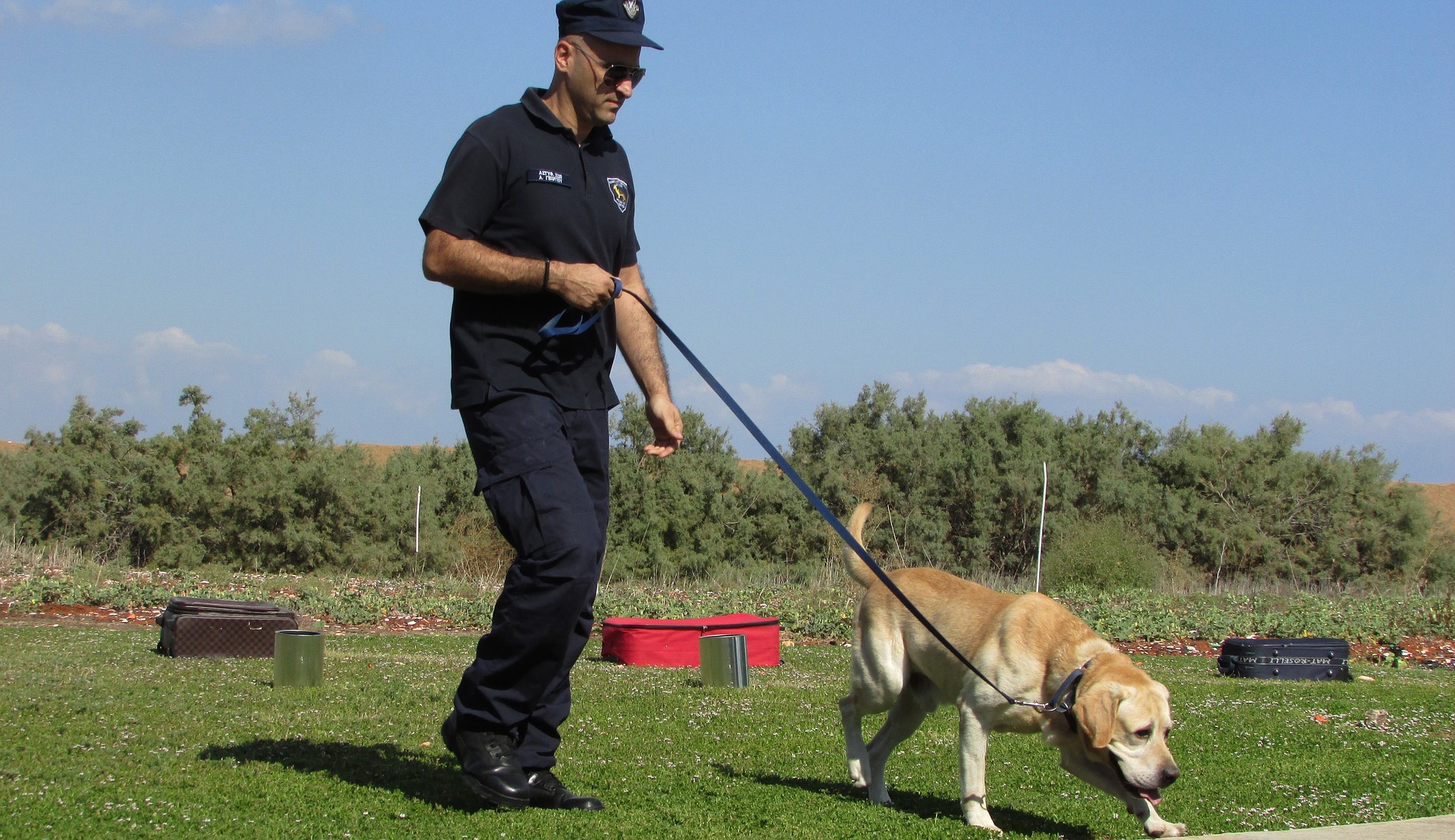 Ein Polizeihund wird vom Welpenalter an für bestimmte Tätigkeiten ausgebildet. Einige Rassen, wie z. B. der Deutsche Schäferhund, haben eine Prädisposition für den Dienst.