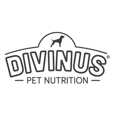 DIVINUS logo
