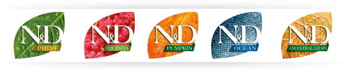 N&D logo