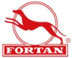 FORTAN logo