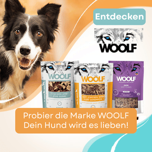 WOOLF - Nowe oferty