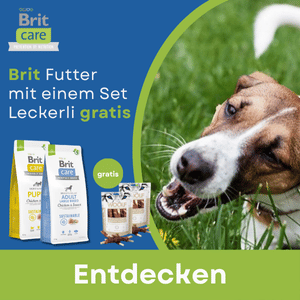 Aktion für ausgewählte Produkte WOOLF Leckerli gratis