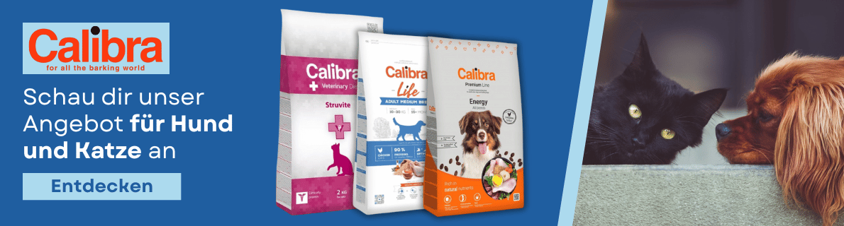 Calibra Angebot