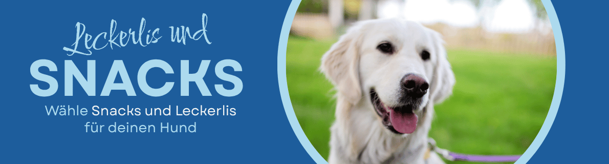 Aktion für Hundesnacks