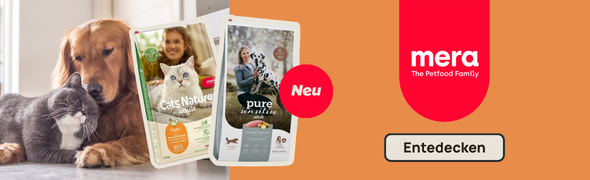 2026-04-10- MERA neu