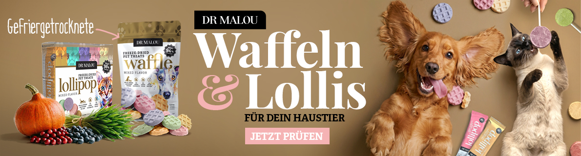 DR MALOU gefriergetrocknete Waffeln und Lutscher
