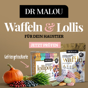 DR MALOU gefriergetrocknete Waffeln und Lutscher