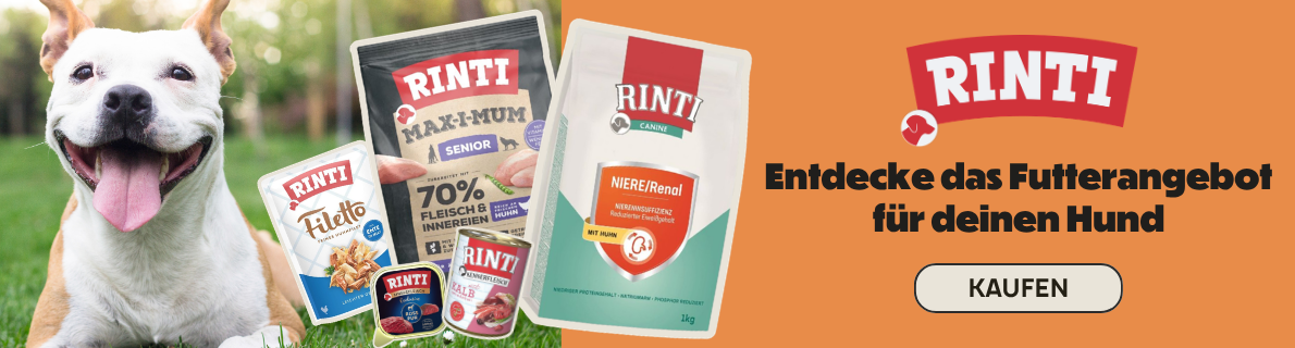 2026-06-18- Rinti
