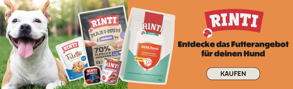 2026-06-18- Rinti