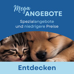 TOP-Angebote