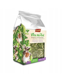 VITAPOL Vita Herbal Petersilienstängel 50 g natürliches Leckerli für Nager und Kaninchen