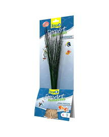 TETRA DecoArt Premium Hairgrass L 35 cm