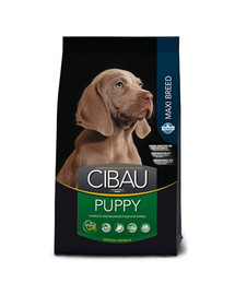 CIBAU Maxi Puppy 12 + 2 kg FREE