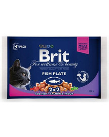 BRIT Fish Plate Adult Fisch-mix 52 x 100 g