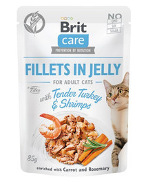 BRIT Care Adult Fillets in Jelly Tender Turkey & Shrimps mit Pute und Garnelen 24 x 85 g