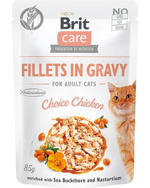BRIT Care Fillets in gravy Choice Chicken 24 x 85 g