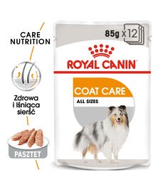 ROYAL CANIN Coat Care Alleinfuttermittel für Hunde 12 x 85 g