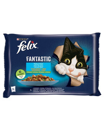 FELIX Fantastic So gut wie es ausssieht mit Lachs & Zucchini und Forelle & grünen Bohnen 4x85g