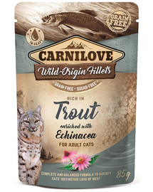CARNILOVE Rich in Trout enriched with Echinacea 85g