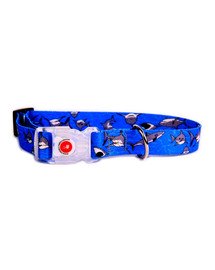 FERA Hundehalsband LED Sharky 38-65 cm 25 mm