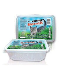 BENEK Katzengras, Grasschale 150g