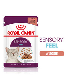 ROYAL CANIN Sensory Feel gravy 24x85g