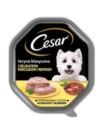 CESAR 150 g  Nassvollnahrung für ausgewachsene Hunde: Terinne mit zartem Huhn und Truthahn