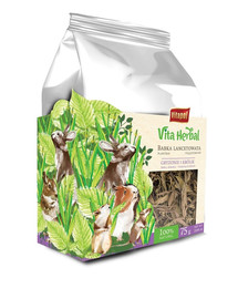 VITAPOL Vita Herbal Spitzwegerich für Nagetiere und Kaninchen 75g