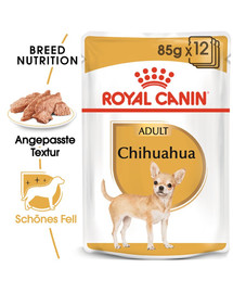 ROYAL CANIN Chihuahua Adult 4x12x85g