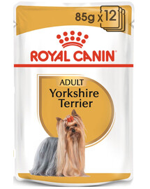 ROYAL CANIN Breed Mini Yorkshire 24 x 85 g