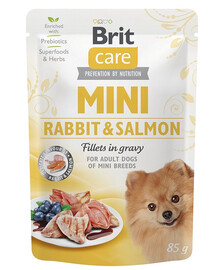 BRIT CARE Mini Adult Pouch Rabbit&Salmon 24x85g mit Kaninchen und Lachs für kleine Hunderassen
