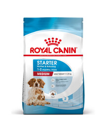 ROYAL CANIN Medium Starter Mother&Babydog 15 kg für trächtige und säugende Hündinnen und Welpen im Alter von 4 bis 8 Wochen, mittelgroße Rassen