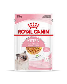 ROYAL CANIN Kitten Instinctive in Gelee Nassfutter in Gelee für Kätzchen bis 12 Monate