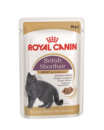 ROYAL CANIN British Shorthair Gravy 48x85 g