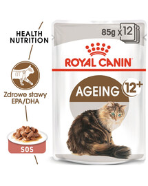 ROYAL CANIN AGEING 12+ in Soße Nassfutter für ältere Katzen 4 x 12 x 85 g