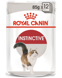 ROYAL CANIN Instinctive 48x85 g