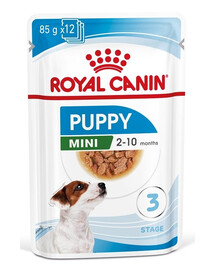 ROYAL CANIN Mini puppy 24x85 g