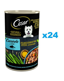CESAR 24x400g Nassfutter für ausgewachsene Hunde mit Fisch in Sauce