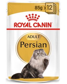 ROYAL CANIN Persian Adult 24x85 g