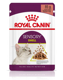 ROYAL CANIN Sensory Smell gravy 48x85 g