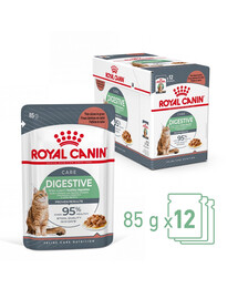 ROYAL CANIN Digestive Care Nassfutter in Soße für ausgewachsene Katzen mit empfindlichem Verdauungstrakt 12x85g