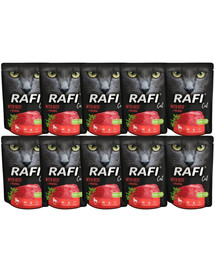 DOLINA NOTECI Rafi Cat Katzennassfutter mit Rindfleisch 10 x 300 g