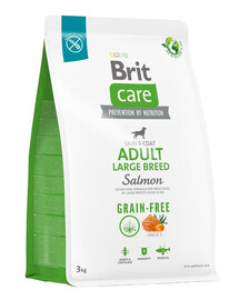 BRIT BRIT CARE Dog Grain-Free Adult large breed salmon 3 kg