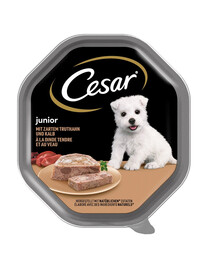 CESAR Junior 150 g Schale Puten- und Kalbfleischpastete für Welpen