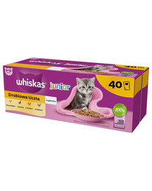 WHISKAS Junior Geflügel-Schmaus 40x85g Nassfutter mit Huhn, Ente, Geflügel und Pute in Gelee für Kätzchen