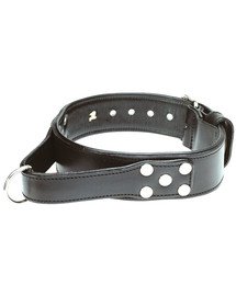 ZOLUX Hundehalsband mit Griff 75 cm schwarz