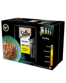 SHEBA Delicacy 12 x 85g: Nassvollnahrung für adulte Katzen mit: Ente, Huhn, Geflügel und Pute in Gelee